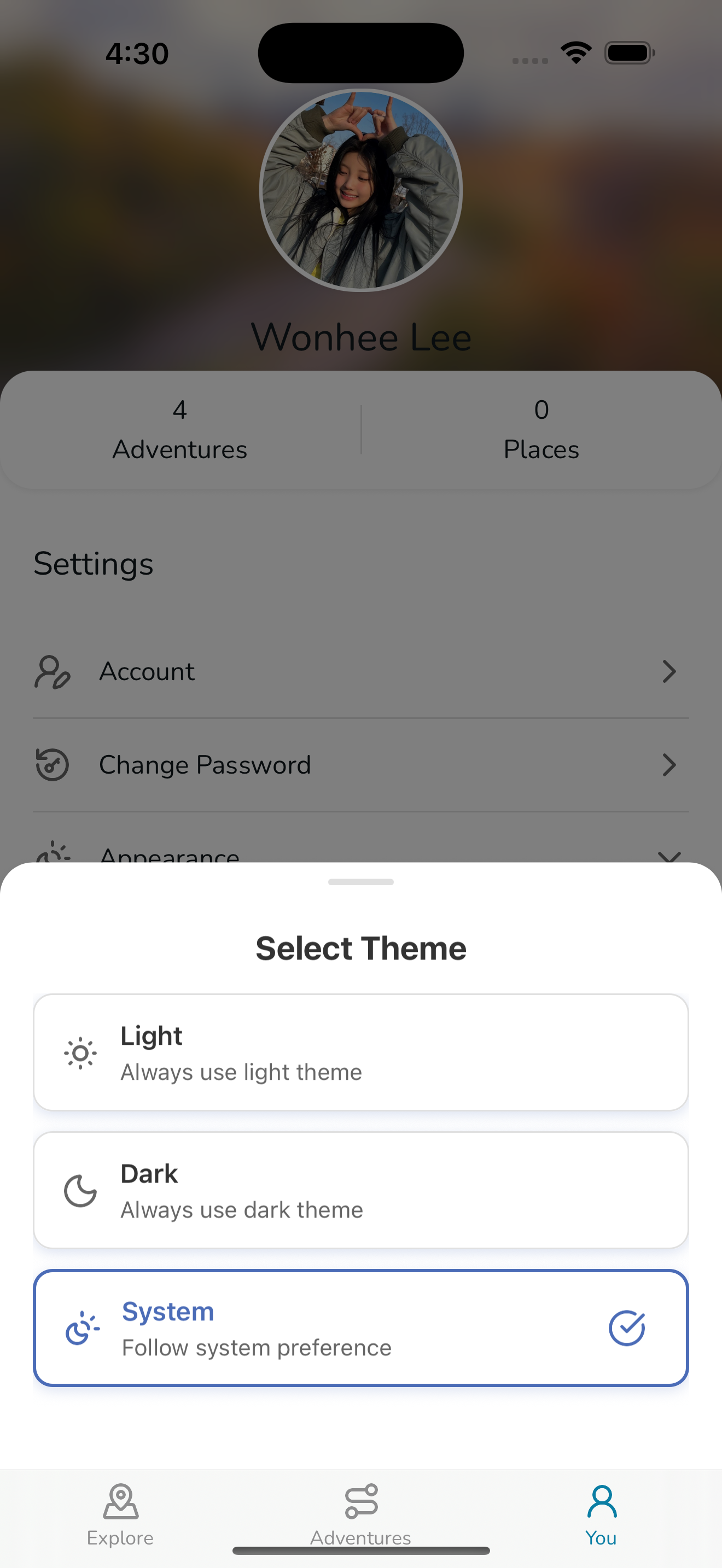 Theme Selector Screenshot iOS
